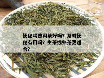 便秘喝普洱茶好吗？茶对便秘有用吗？生茶或熟茶更适合？