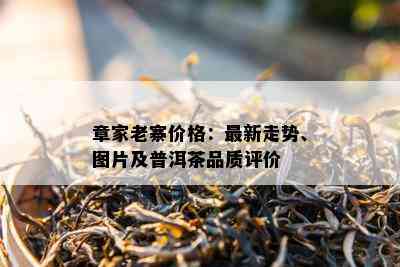 章家老寨价格：最新走势、图片及普洱茶品质评价