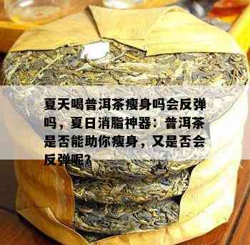 夏天喝普洱茶瘦身吗会反弹吗，夏日消脂神器：普洱茶是否能助你瘦身，又是否会反弹呢？