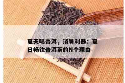 夏天喝普洱，消暑利器：夏日畅饮普洱茶的N个理由