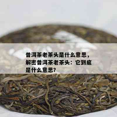 普洱茶老茶头是什么意思，解密普洱茶老茶头：它到底是什么意思？