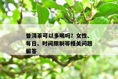 普洱茶可以多喝吗？女性、每日、时间限制等相关问题解答