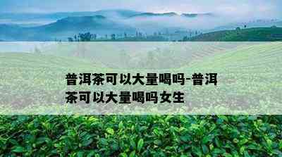 普洱茶可以大量喝吗-普洱茶可以大量喝吗女生