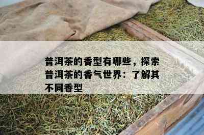 普洱茶的香型有哪些，探索普洱茶的香气世界：了解其不同香型