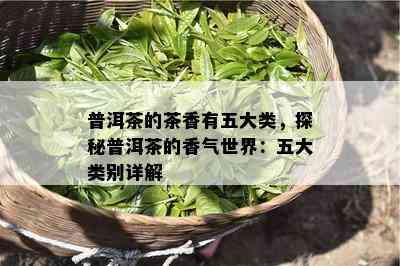 普洱茶的茶香有五大类，探秘普洱茶的香气世界：五大类别详解