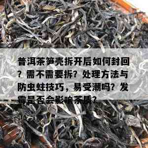 普洱茶笋壳拆开后如何封回？需不需要拆？处理方法与防虫蛀技巧，易受潮吗？发霉是否会影响茶质？