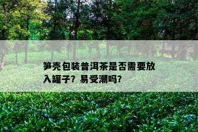 笋壳包装普洱茶是否需要放入罐子？易受潮吗？