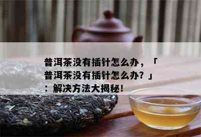 普洱茶没有插针怎么办，「普洱茶没有插针怎么办？」：解决方法大揭秘！