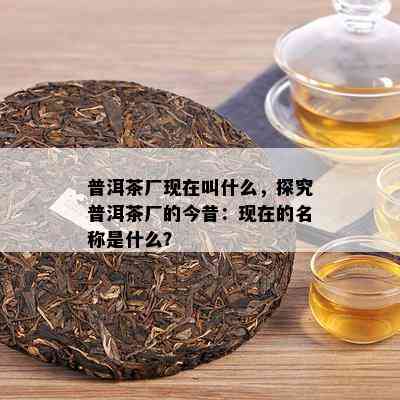 普洱茶厂现在叫什么，探究普洱茶厂的今昔：现在的名称是什么？