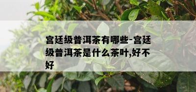 宫廷级普洱茶有哪些-宫廷级普洱茶是什么茶叶,好不好