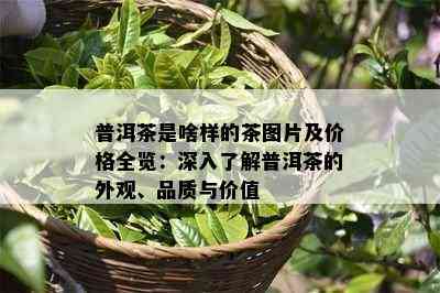 普洱茶是啥样的茶图片及价格全览：深入了解普洱茶的外观、品质与价值