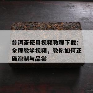 普洱茶使用视频教程下载：全程教学视频，教你如何正确泡制与品尝