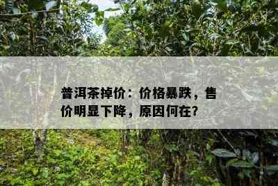 普洱茶掉价：价格暴跌，售价明显下降，原因何在？