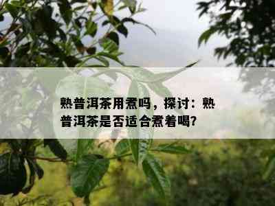 熟普洱茶用煮吗，探讨：熟普洱茶是否适合煮着喝？