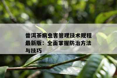 普洱茶病虫害管理技术规程最新版：全面掌握防治方法与技巧