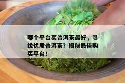 哪个平台买普洱茶更好，寻找优质普洱茶？揭秘更佳购买平台！