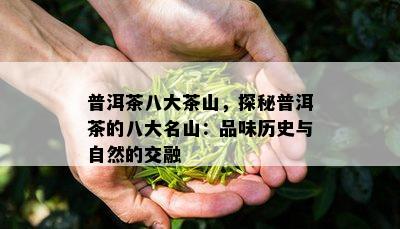 普洱茶八大茶山，探秘普洱茶的八大名山：品味历史与自然的交融