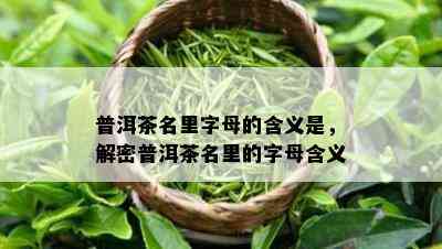 普洱茶名里字母的含义是，解密普洱茶名里的字母含义