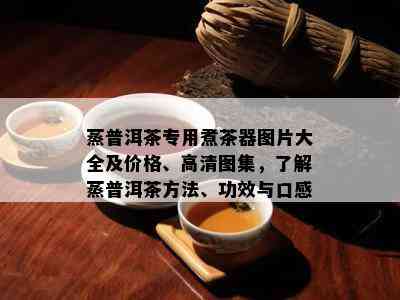 蒸普洱茶专用煮茶器图片大全及价格、高清图集，了解蒸普洱茶方法、功效与口感