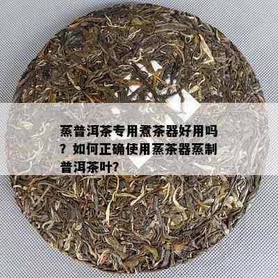 蒸普洱茶专用煮茶器好用吗？如何正确使用蒸茶器蒸制普洱茶叶？