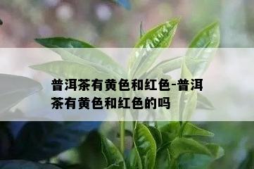 普洱茶有黄色和红色-普洱茶有黄色和红色的吗