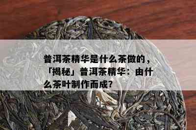 普洱茶精华是什么茶做的，「揭秘」普洱茶精华：由什么茶叶制作而成？