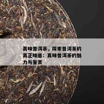 真味普洱茶，探索普洱茶的真正味道：真味普洱茶的魅力与鉴赏