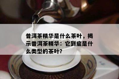 普洱茶精华是什么茶叶，揭示普洱茶精华：它到底是什么类型的茶叶？