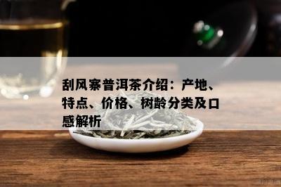 刮风寨普洱茶介绍：产地、特点、价格、树龄分类及口感解析