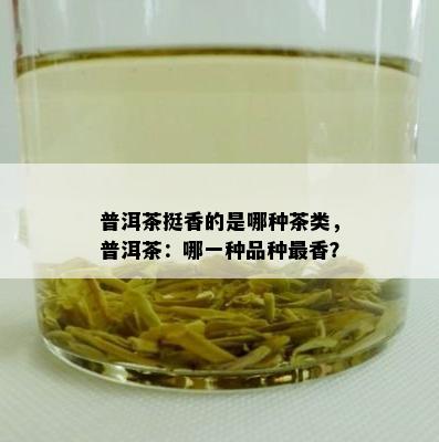 普洱茶挺香的是哪种茶类，普洱茶：哪一种品种最香？