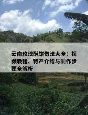 云南玫瑰酥饼做法大全：视频教程、特产介绍与制作步骤全解析