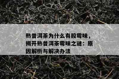 熟普洱茶为什么有股霉味，揭开熟普洱茶霉味之谜：原因解析与解决办法