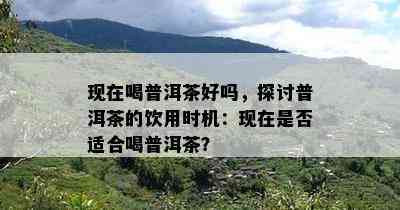 现在喝普洱茶好吗，探讨普洱茶的饮用时机：现在是否适合喝普洱茶？