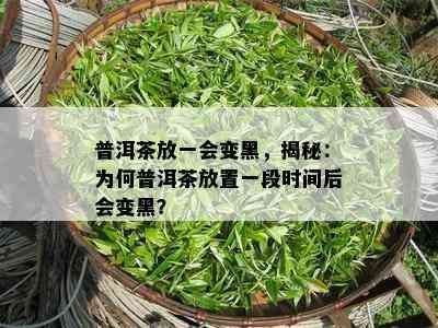 普洱茶放一会变黑，揭秘：为何普洱茶放置一段时间后会变黑？