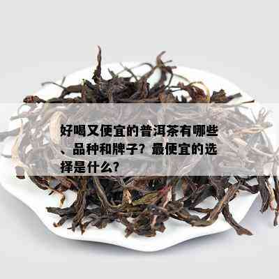 好喝又便宜的普洱茶有哪些、品种和牌子？更便宜的选择是什么？