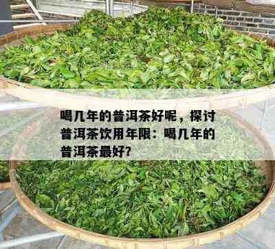 喝几年的普洱茶好呢，探讨普洱茶饮用年限：喝几年的普洱茶更好？