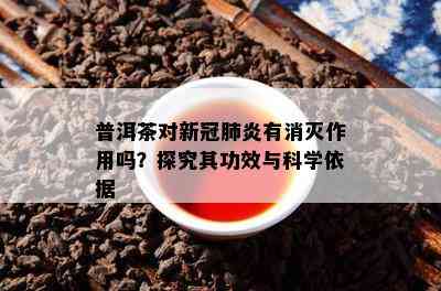 普洱茶对新冠肺炎有消灭作用吗？探究其功效与科学依据