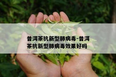 普洱茶抗新型肺病-普洱茶抗新型肺病效果好吗