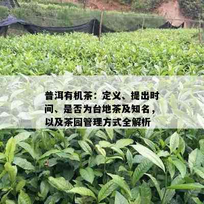 普洱有机茶：定义、提出时间、是否为台地茶及知名，以及茶园管理方式全解析