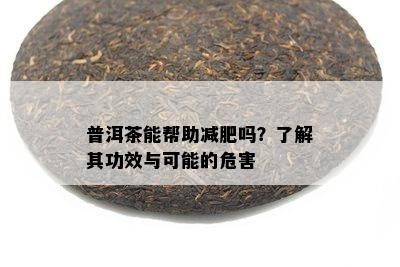 普洱茶能帮助减肥吗？了解其功效与可能的危害