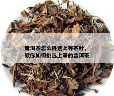 普洱茶怎么挑选上等茶叶，教你如何挑选上等的普洱茶