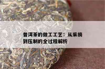 普洱茶的做工工艺：从采摘到压制的全过程解析