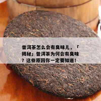 普洱茶怎么会有臭味儿，「揭秘」普洱茶为何会有臭味？这些原因你一定要知道！