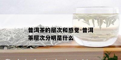 普洱茶的层次和感觉-普洱茶层次分明是什么