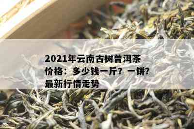 2021年云南古树普洱茶价格：多少钱一斤？一饼？最新行情走势