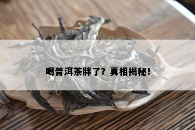 喝普洱茶胖了？真相揭秘！