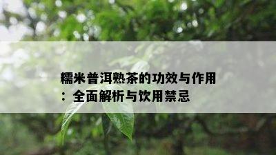 糯米普洱熟茶的功效与作用：全面解析与饮用禁忌