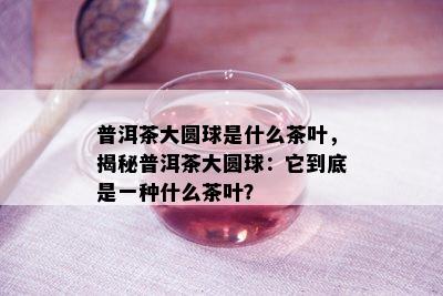 普洱茶大圆球是什么茶叶，揭秘普洱茶大圆球：它到底是一种什么茶叶？