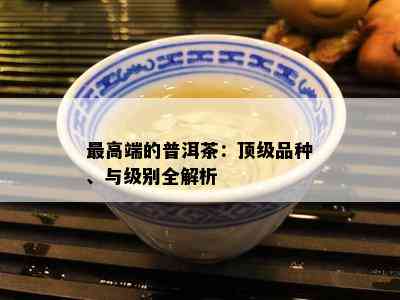 更高端的普洱茶：顶级品种、与级别全解析