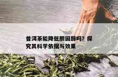 普洱茶能降低胆固醇吗？探究其科学依据与效果